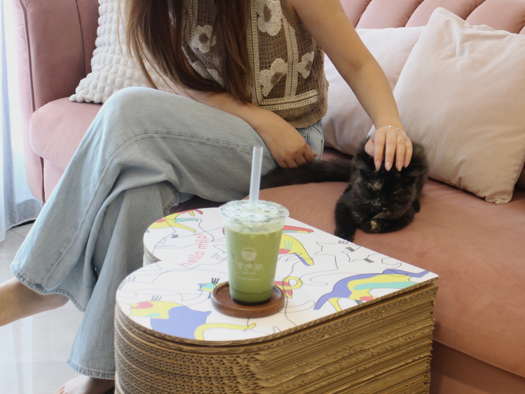 Cat Stool
