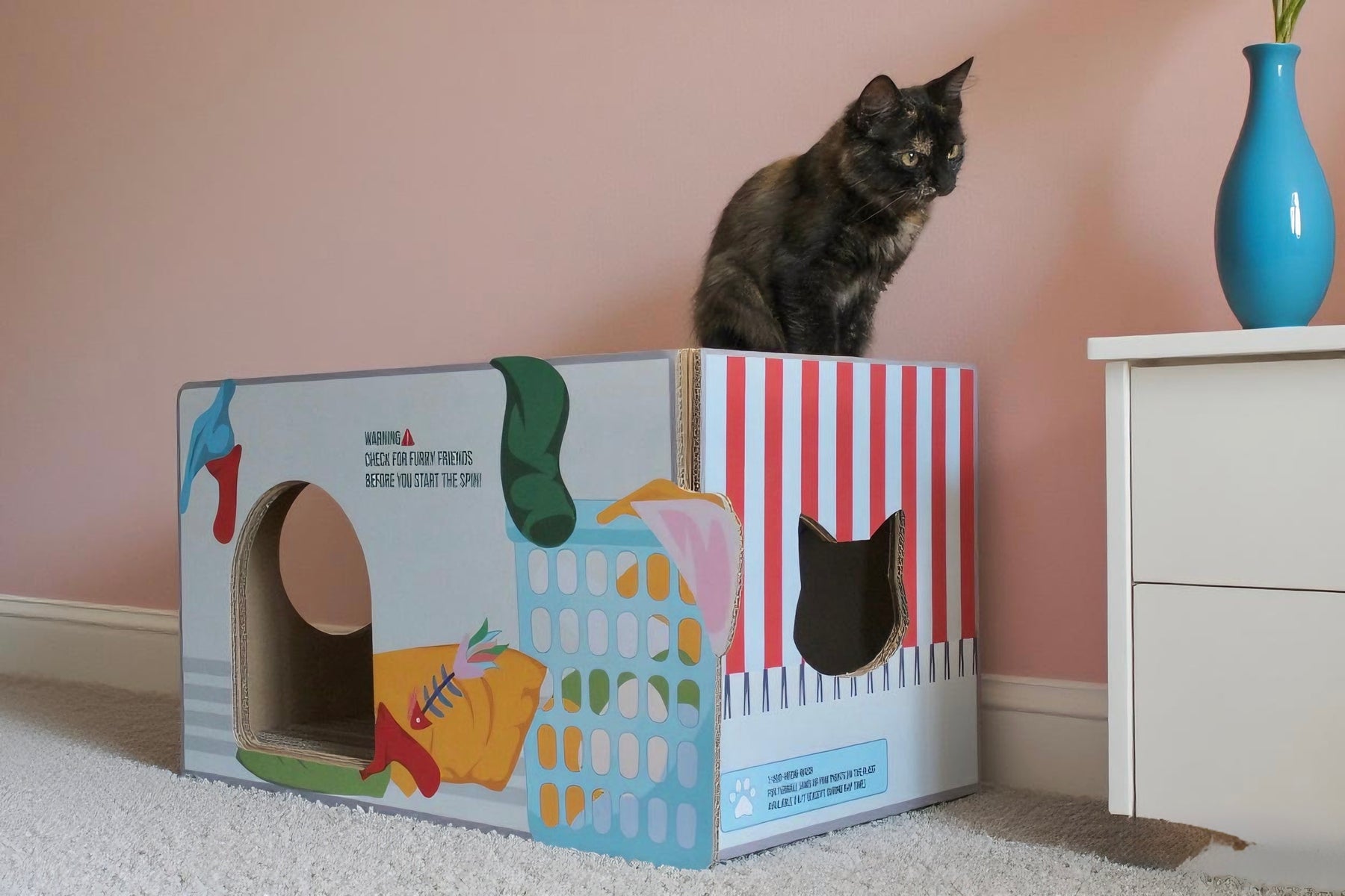 Cat Box House
