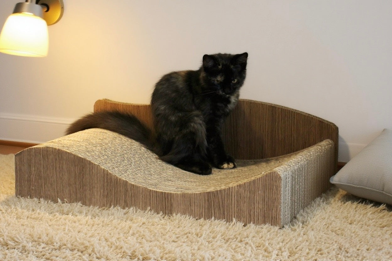 Cat Purr Lounge