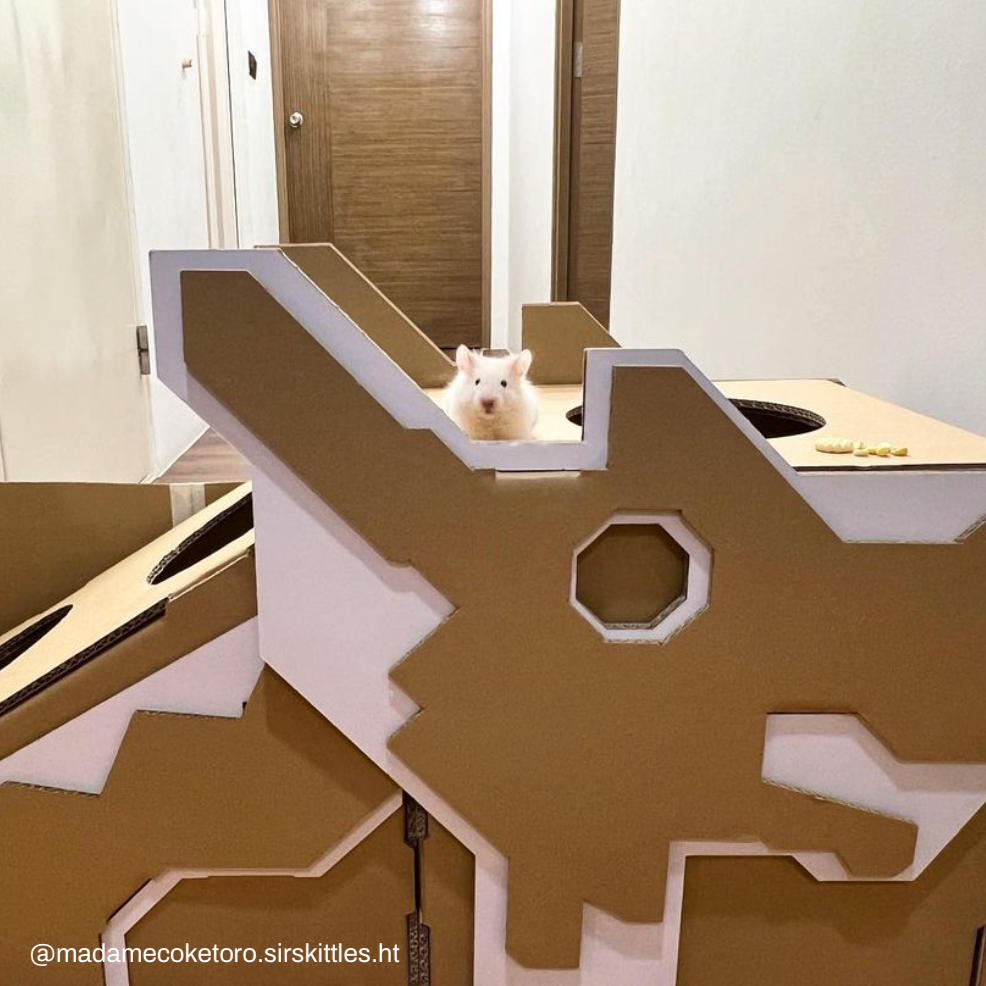 Dragon Playground Pet Hideout