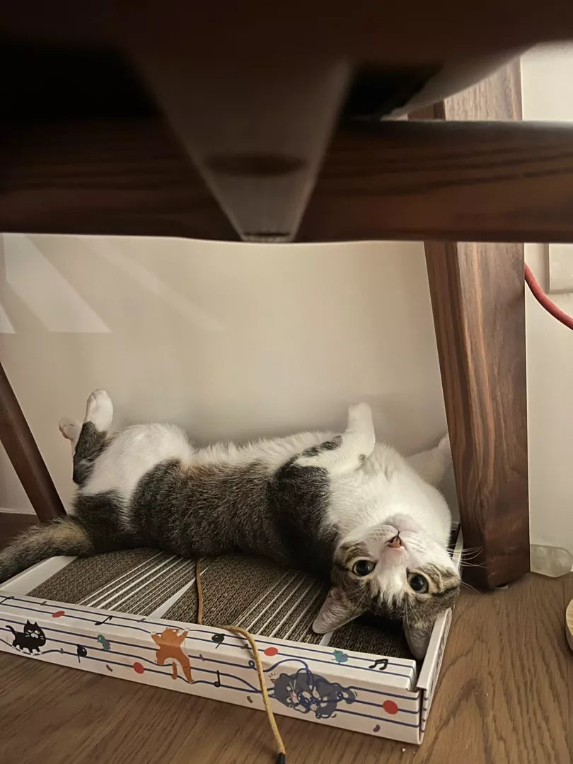 DO RE MI Scratch Pad