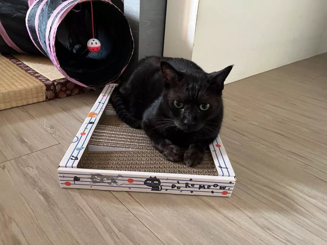 DO RE MI Scratch Pad