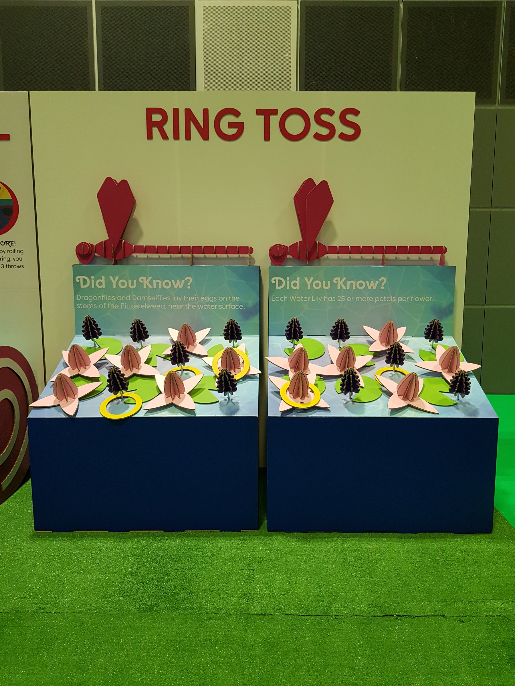 Ring Toss