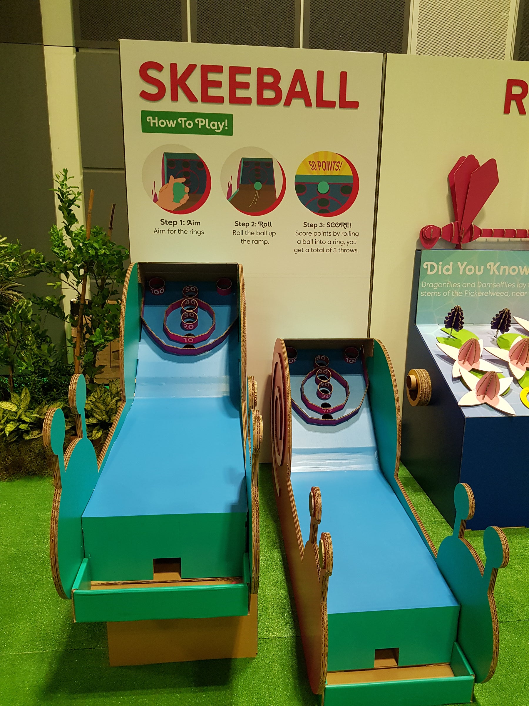 Skeeball