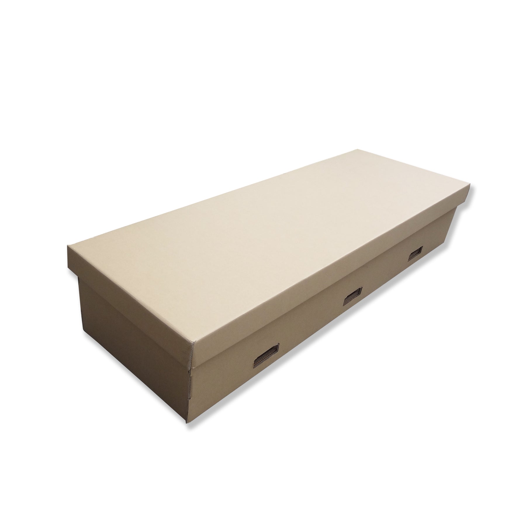 Cardboard Coffin