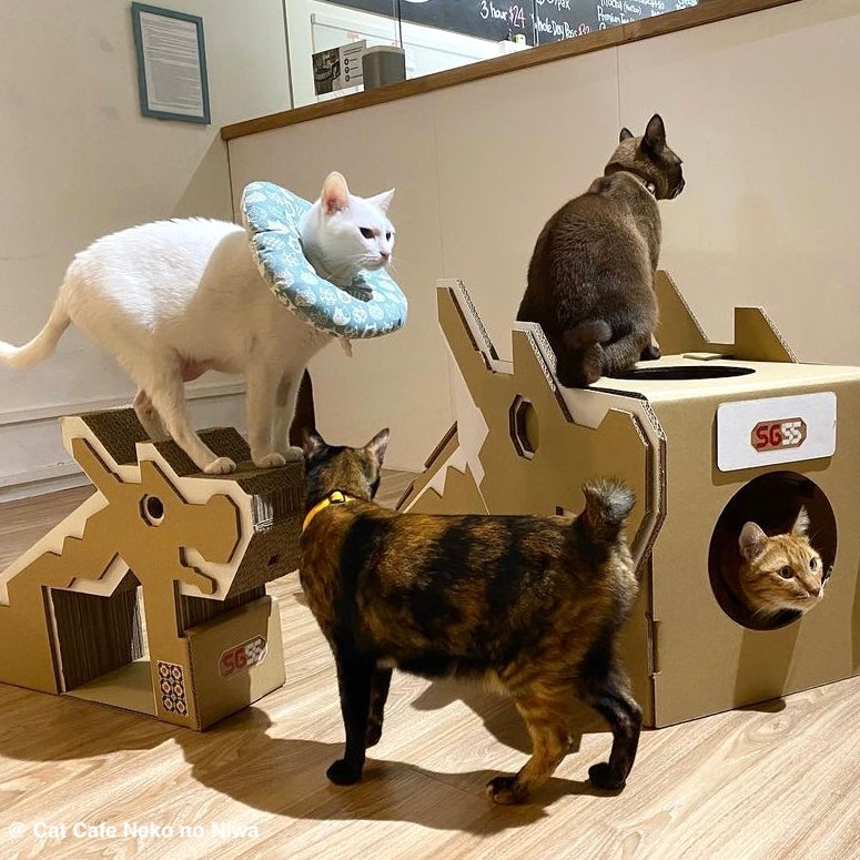 Dragon Playground Pet Hideout