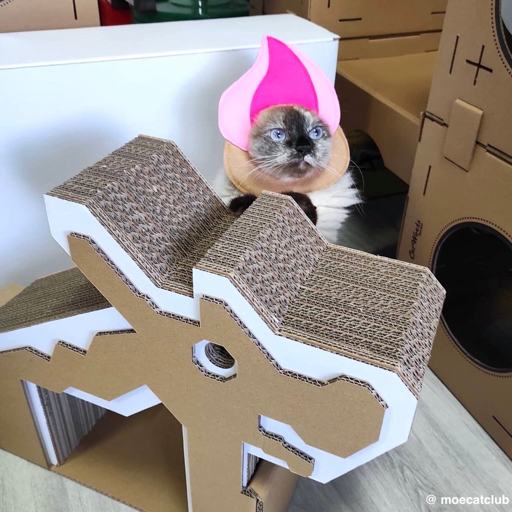 Dragon Playground ScratchPad