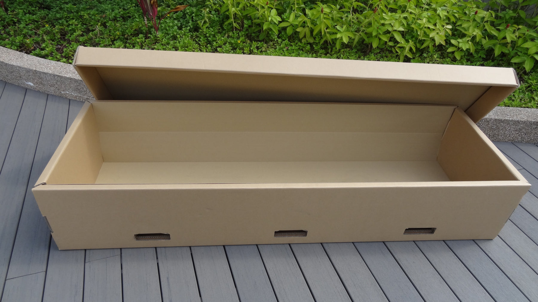 Cardboard Coffin