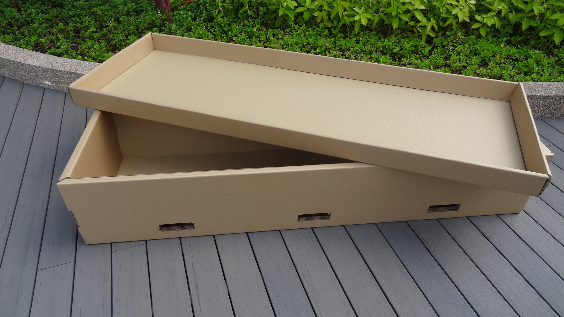 Cardboard Coffin