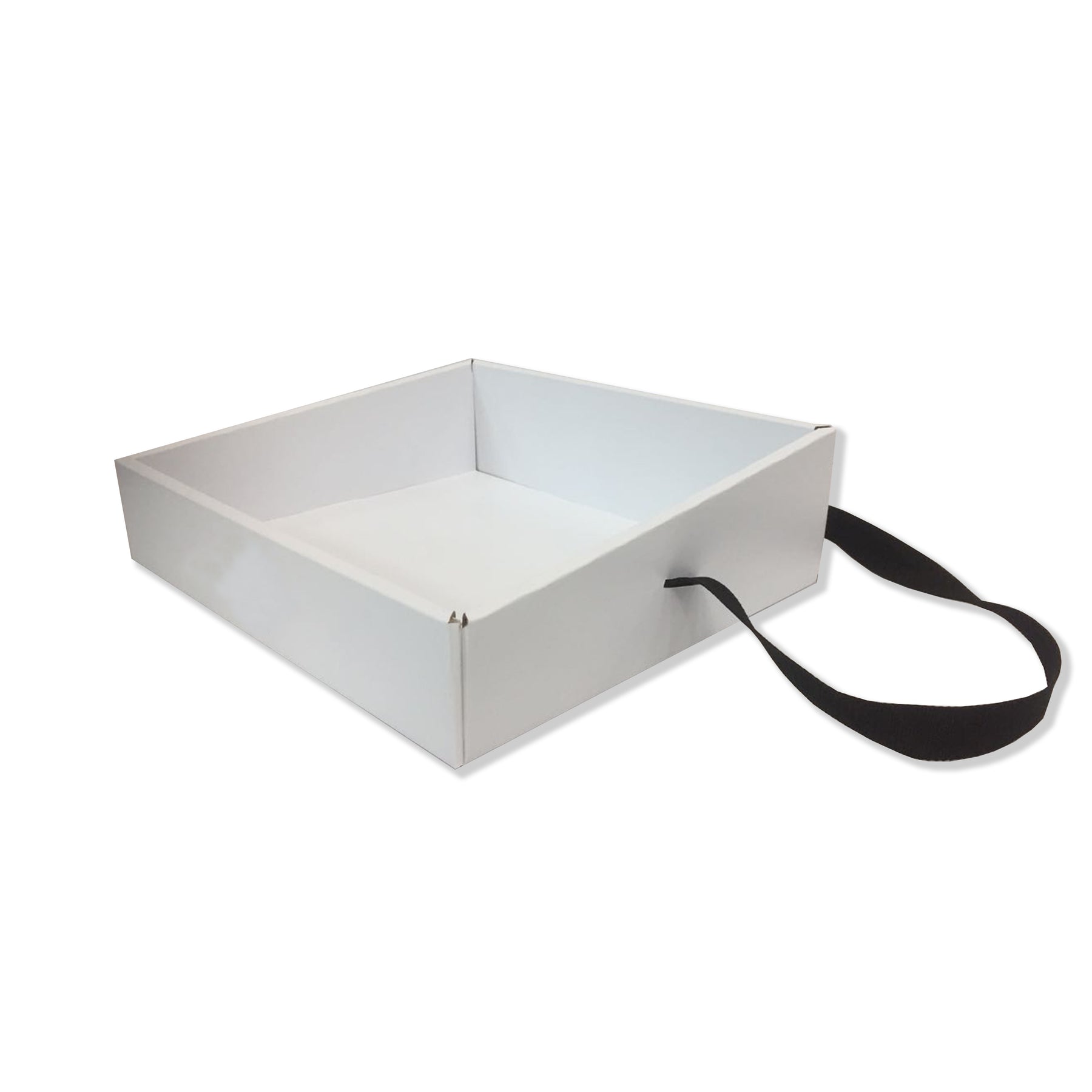 Portable Tray