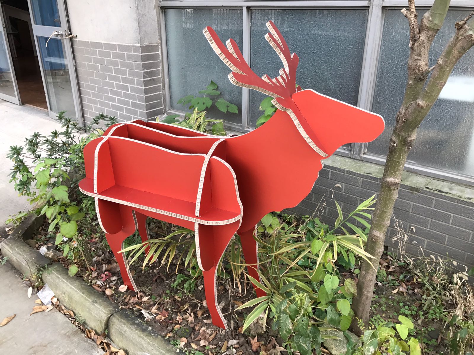 Reindeer