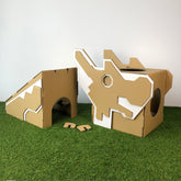 Dragon Playground Pet Hideout