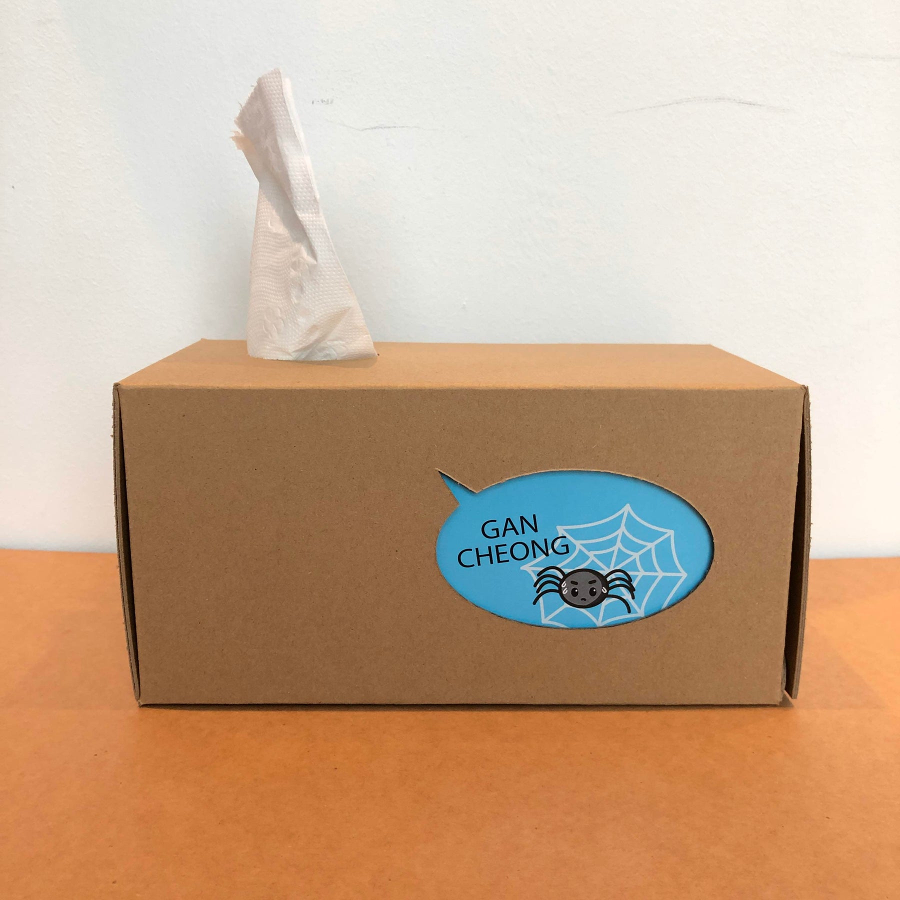 Tissue Box Holder