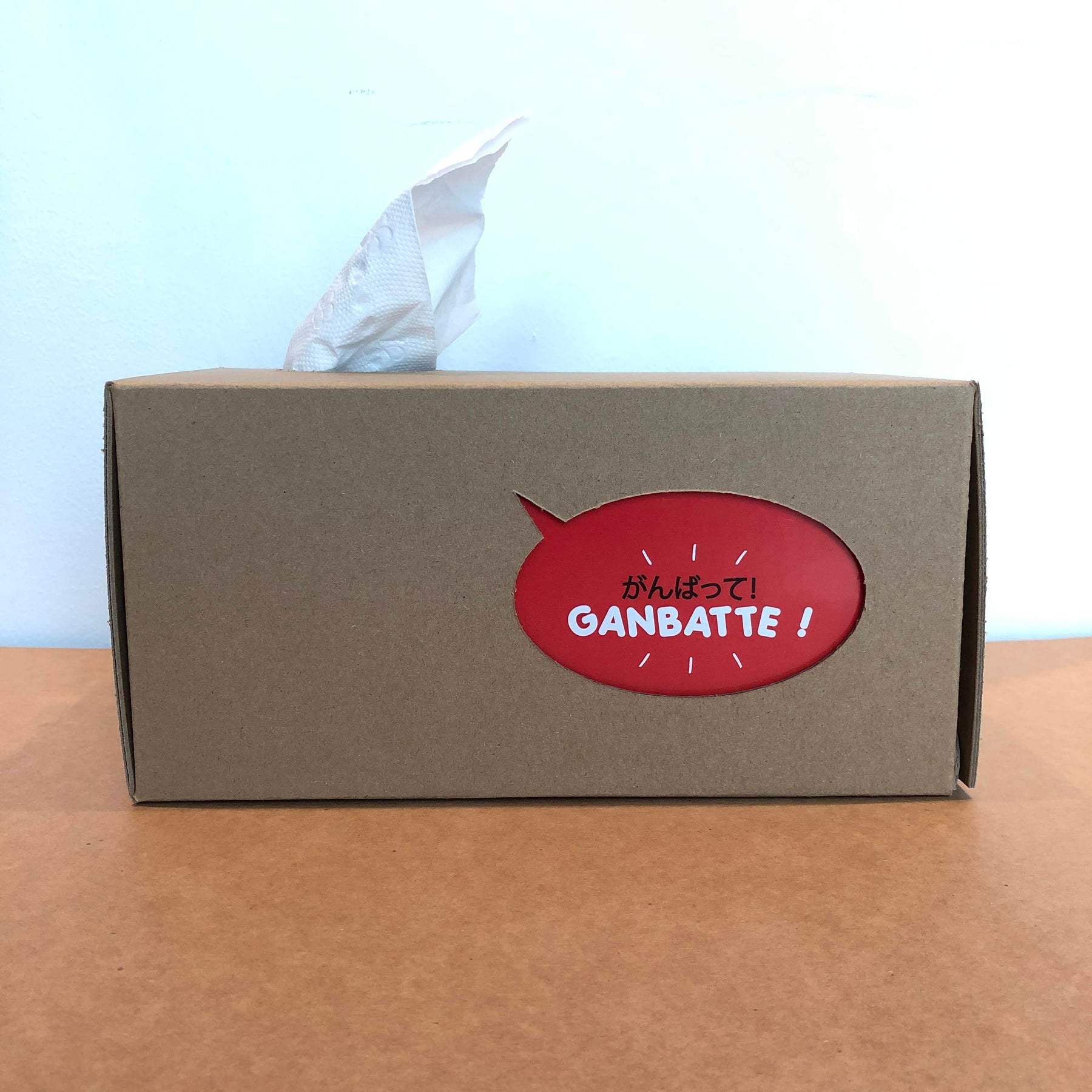 Tissue Box Holder