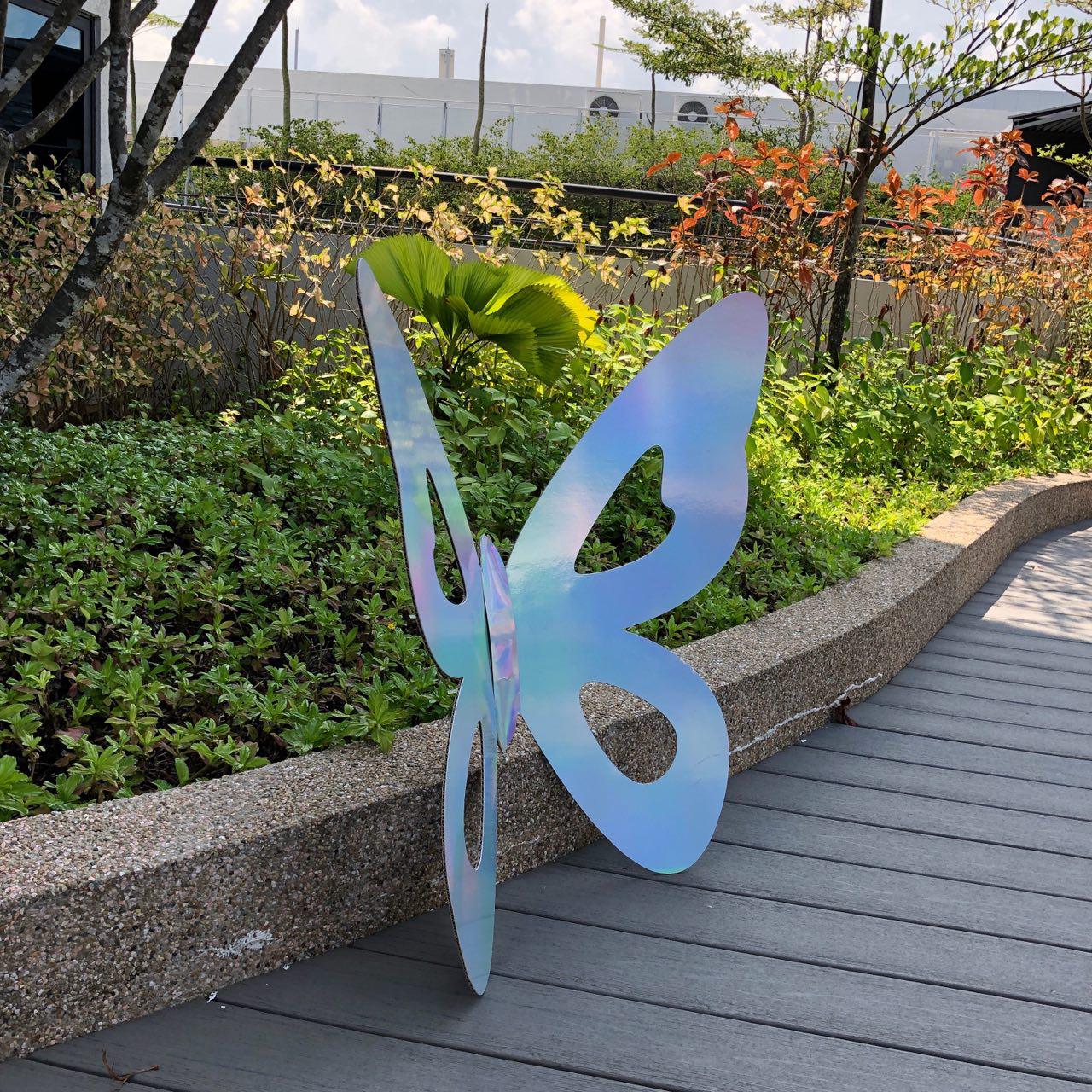 Butterfly (Medium)