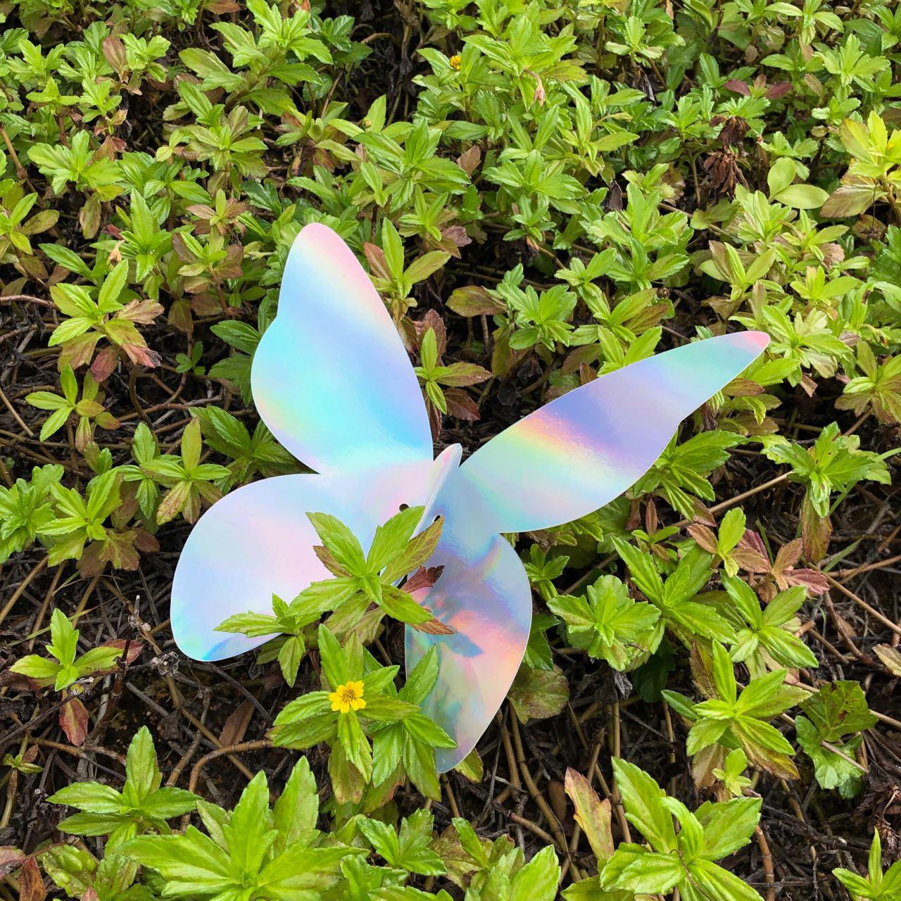 Butterfly (Small)