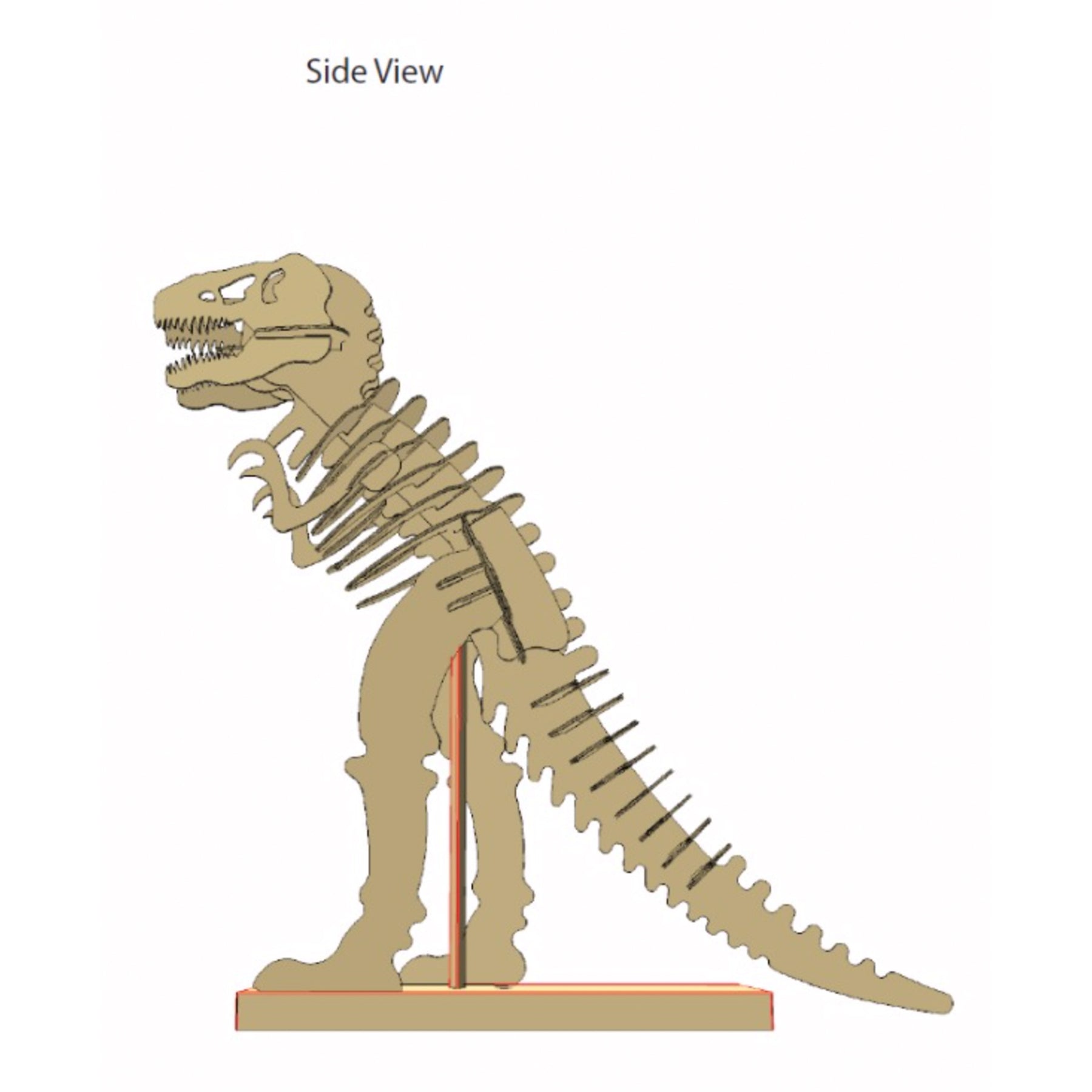 T-Rex Skeleton