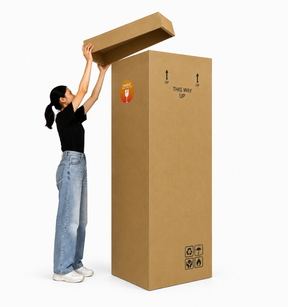 Surprise Box