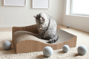 Cat Purr Lounge