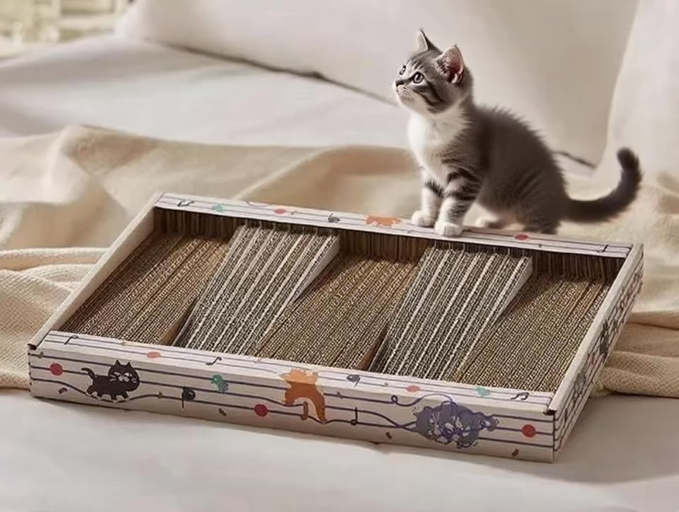 DO RE MI Scratch Pad