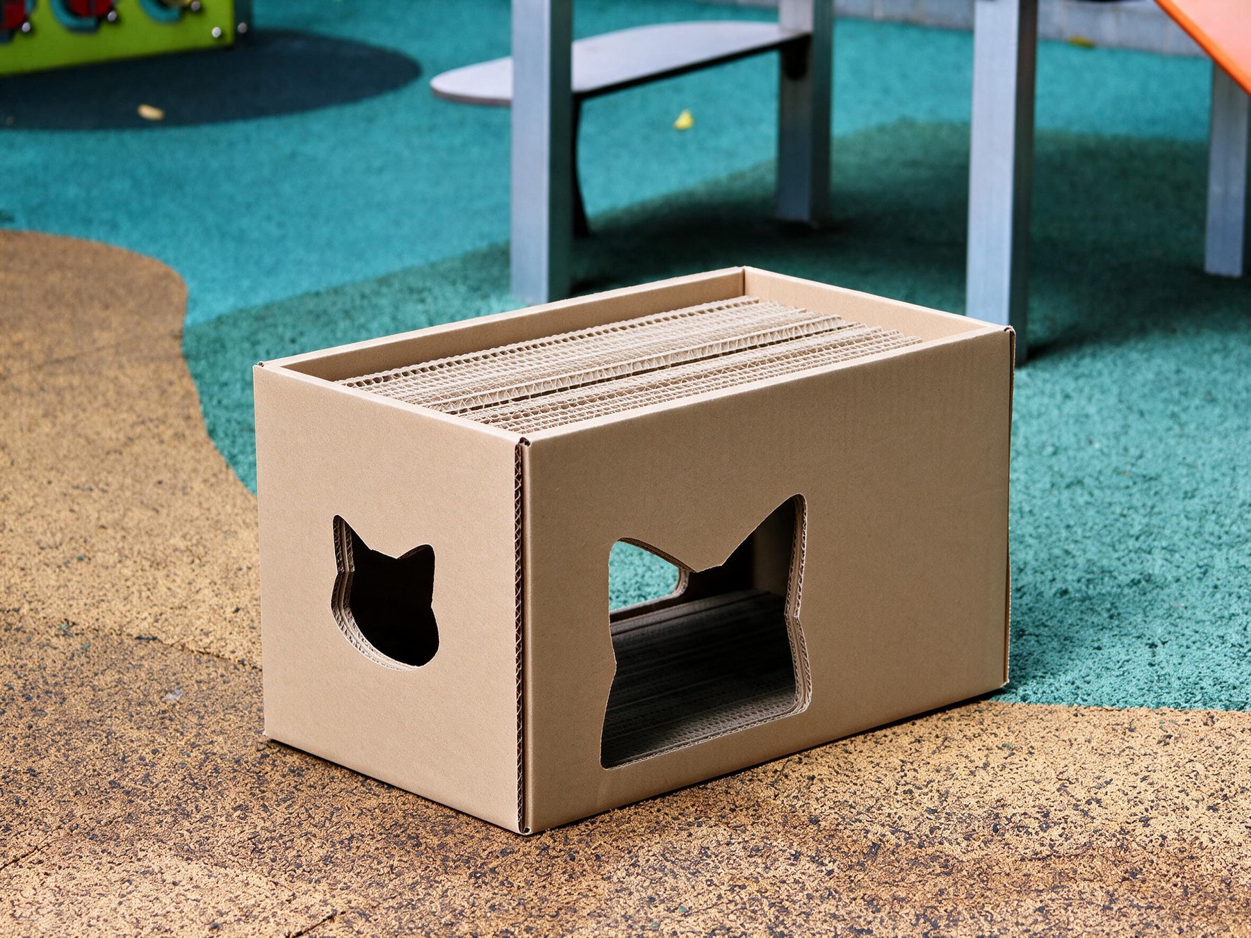 Cat Box House