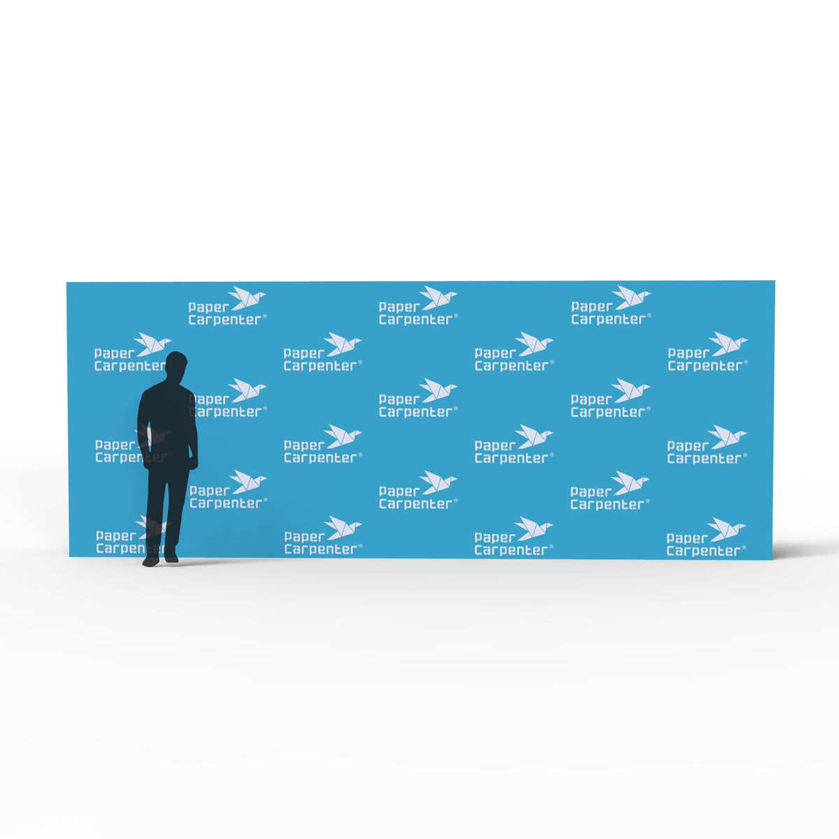 8ft x 20ft Backdrop with PaperConnect Structure